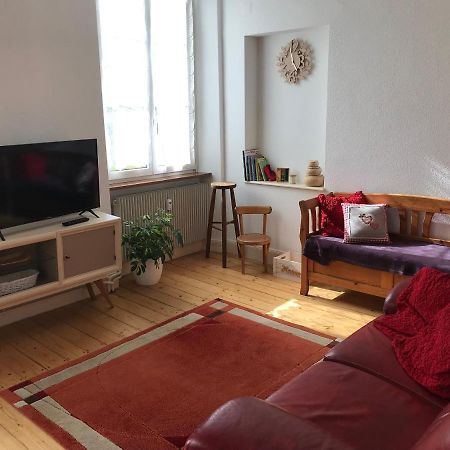 Le Clos Des Iris - Gite Rural 95 M2 Tout Confort En Alsace Bossue Domfessel Dış mekan fotoğraf